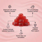 Cranberry Gummies | Urinary & Kidney Defense Formula