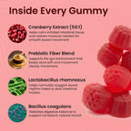 Cranberry Gummies | Urinary & Kidney Defense Formula